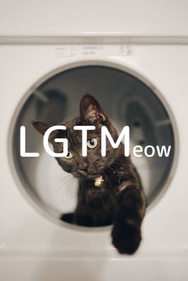 lgtm-cat-image