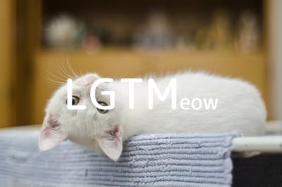 lgtm-cat-image