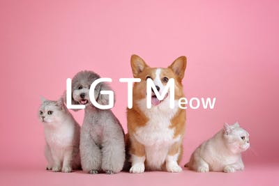 lgtm-cat-image