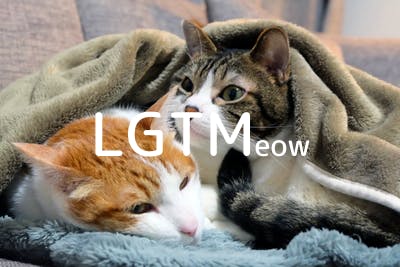 lgtm-cat-image