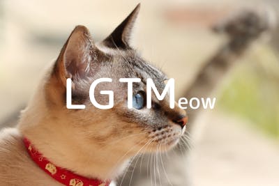 lgtm-cat-image