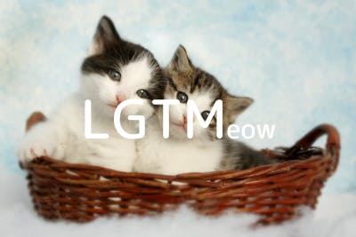 lgtm-cat-image